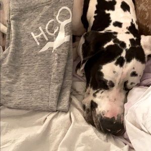 Cozy Hollister lounging pants😜